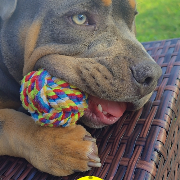 Meet your Posher, Laura - Picture 3 of 16